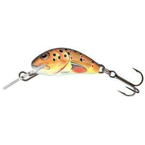 Salmo Wobler Hornet Floating 3,5cm - Trout