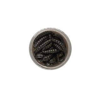 Berkley Vosí larva Powerbait Honey Worm 2,5cm - 55ks - Black